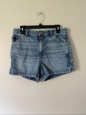American Eagle Outfitters Light Wash Denim Shorts